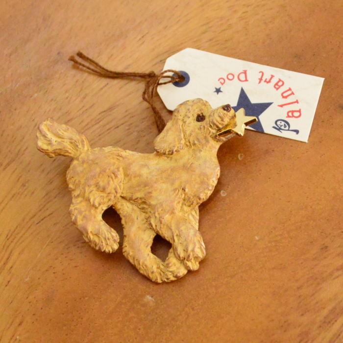 パルナートポック ブローチ プードル  Palnart Poc Brough Superior ブラフシューペリア | Palnart Poc | 04