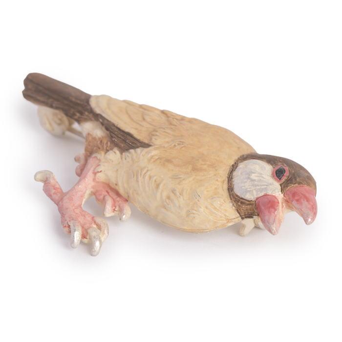 [新作] パルナートポック ブローチ シナモン文鳥 インコ  Palnart Poc  2603 | Palnart Poc | 01