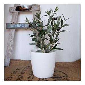 スパイス フェイクグリーン オリーブの木 50cm 実付き 人工観葉植物 イミテーショングリーン 造花 Spcxgk1011 スウェッジアンドケイ 通販 Yahoo ショッピング