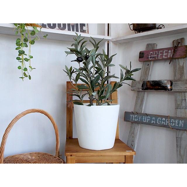 スパイス フェイクグリーン オリーブの木 50cm 実付き 人工観葉植物 イミテーショングリーン 造花 Spcxgk1011 スウェッジアンドケイ 通販 Yahoo ショッピング