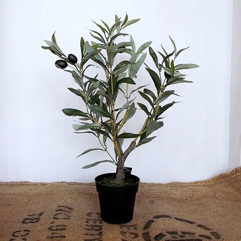 スパイス フェイクグリーン オリーブの木 50cm 実付き 人工観葉植物 イミテーショングリーン 造花 Spcxgk1011 スウェッジアンドケイ 通販 Yahoo ショッピング