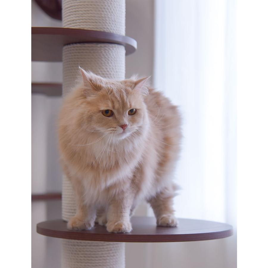 ONEKOSAMA OINUSAMA（おねこさま・おいぬさま） キャットタワー 交換