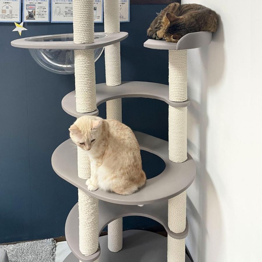 ONEKOSAMA OINUSAMA 猫 キャットタワー 据え置き おしゃれ ねこ ONEKOSAMA OINUSAMA 猫 キャットタワー 据え置き おしゃれ ねこ