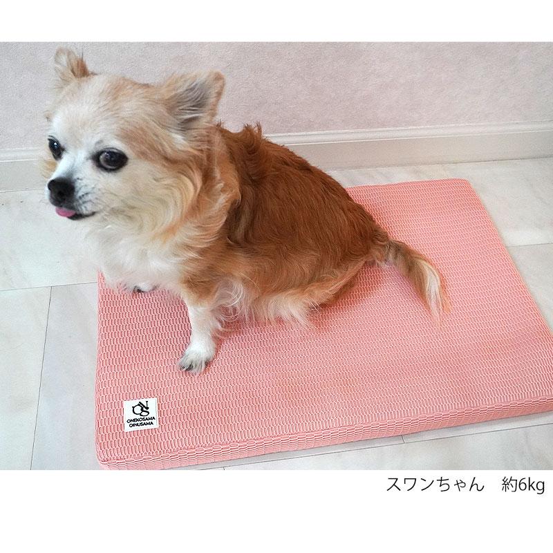ONEKOSAMA OINUSAMA メッシュベッド エアークッション ペット ONEKOSAMA OINUSAMA メッシュベッド エアークッション ペット