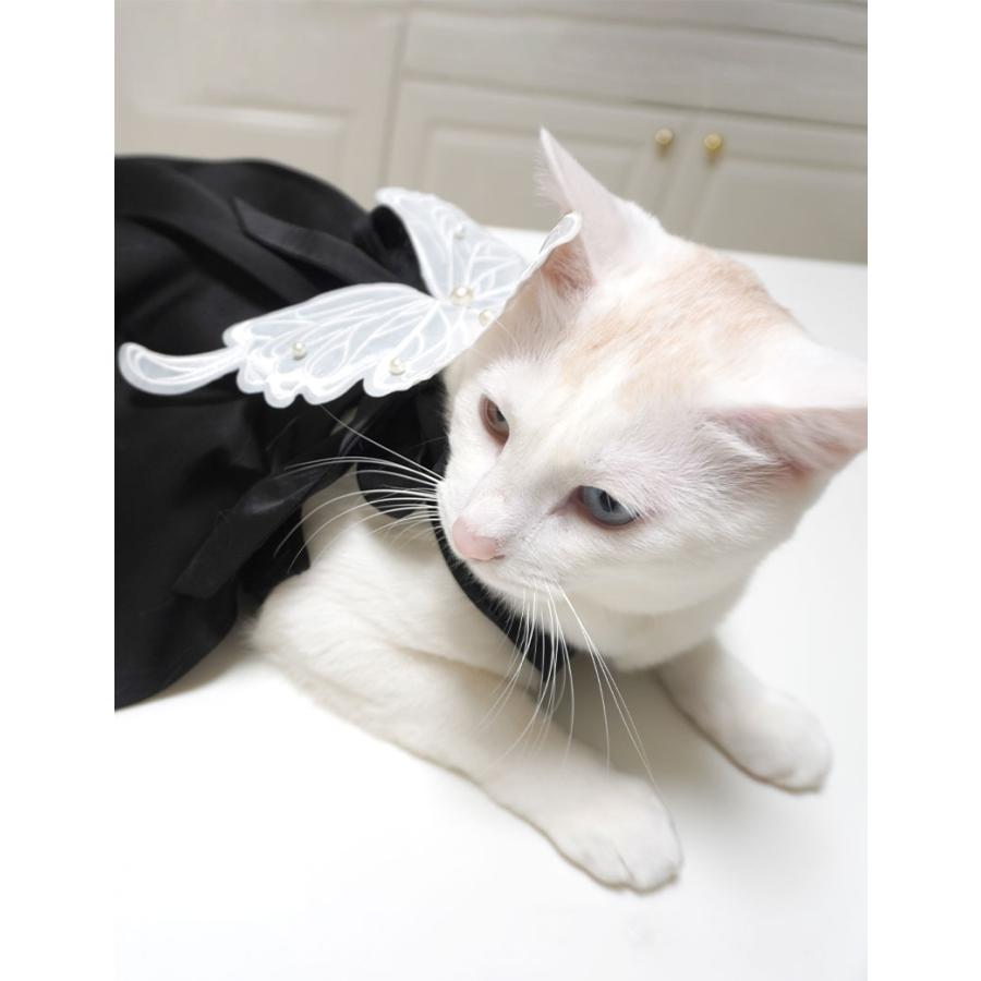 ねこいぬうさぎさま専用ページ ねこいぬうさぎさま専用ページ 犬 猫
