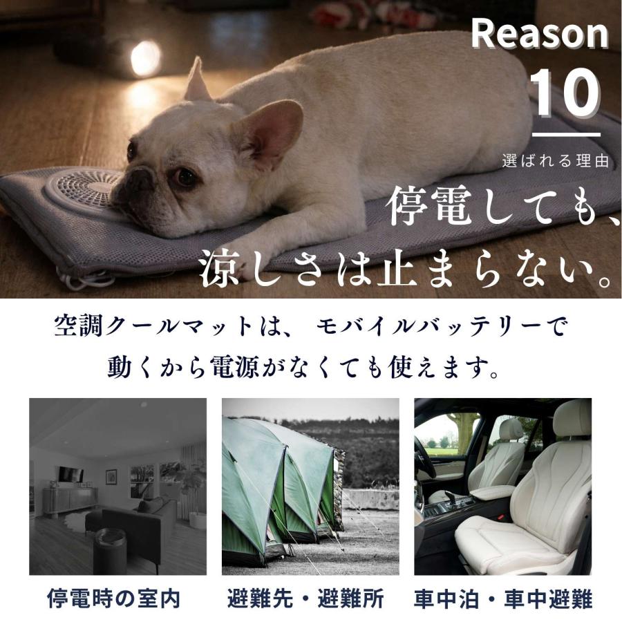 ONEKOSAMA OINUSAMA（おねこさま・おいぬさま） 犬 猫 空調 クール