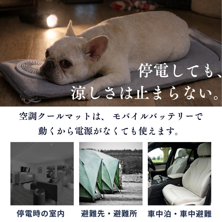 ONEKOSAMA OINUSAMA（おねこさま・おいぬさま） 犬 猫 空調 クール