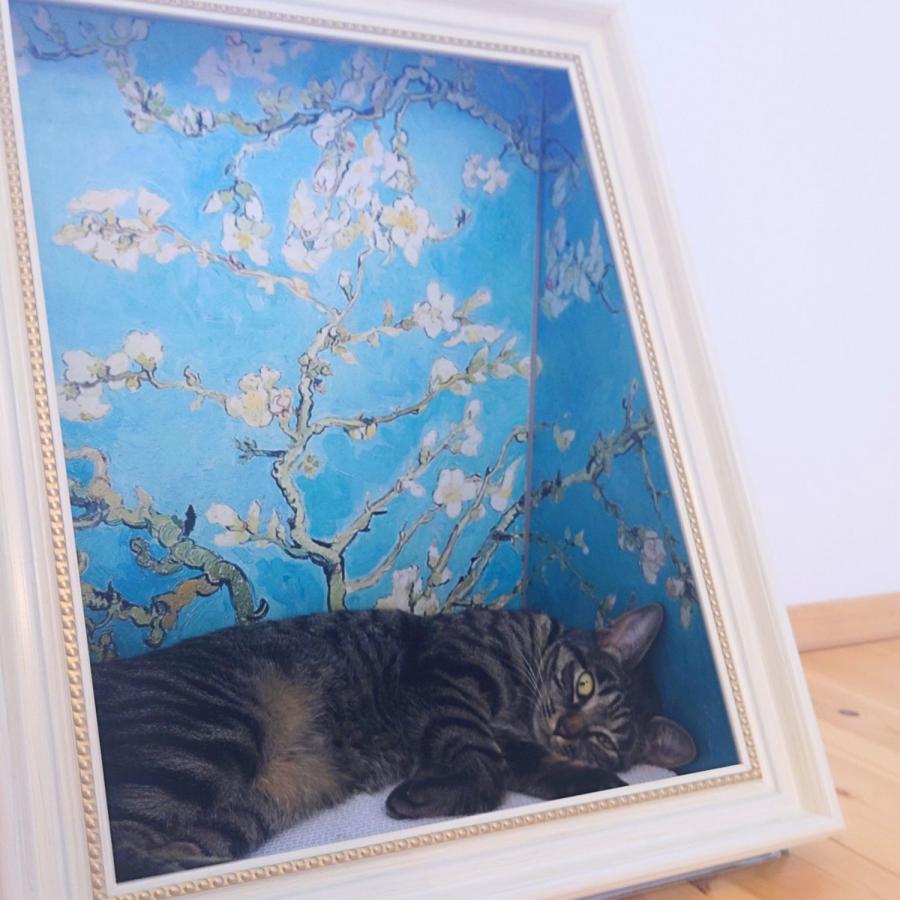 ONEKOSAMA OINUSAMA（おねこさま・おいぬさま） 名画クールハウス