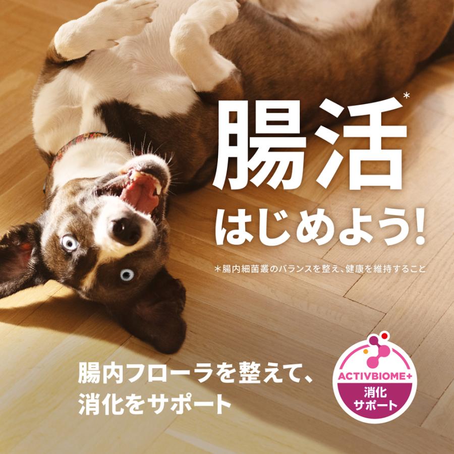 サイエンス・ダイエット ヒルズ パピー 小粒 12ヶ月まで 子犬用/妊娠