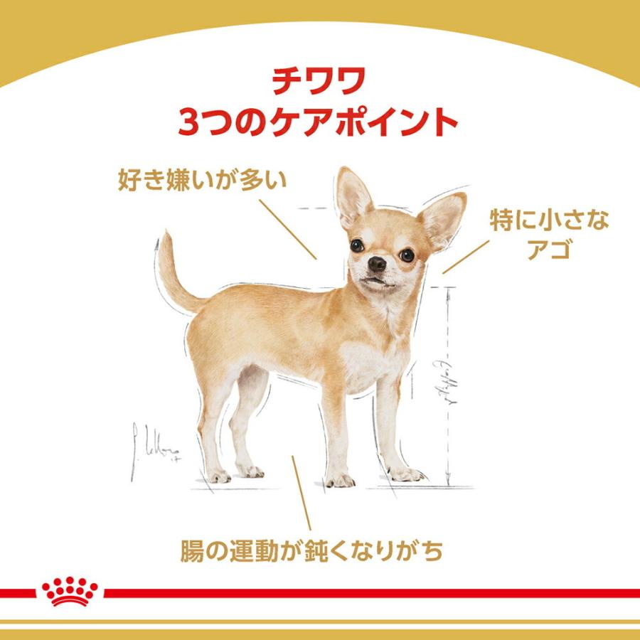 ロイヤルカナン チワワ 成犬用 3kg (犬・ドッグ) [正規品] ドッグフード 犬 ドライフード｜sweet-pet｜02