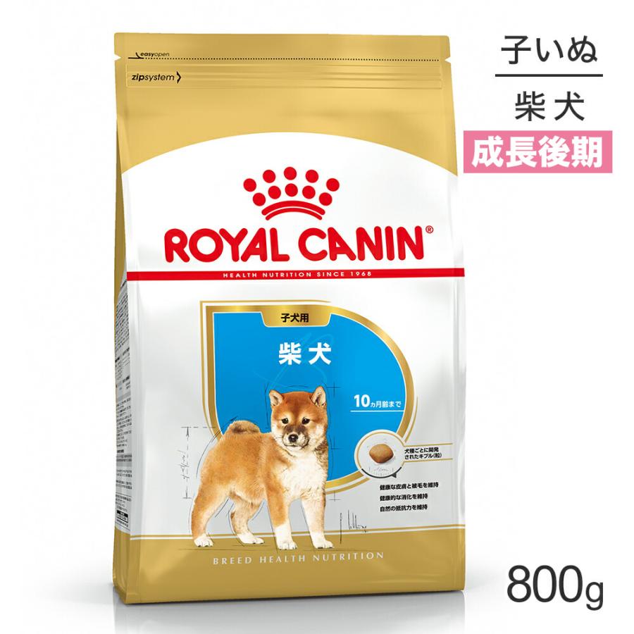  CANIN 柴犬用 成犬用ドッグフード8kg ブリード ヘルス ニュートリション ロイヤルカナン BHN 柴犬 子犬用