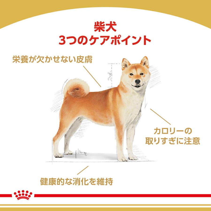ロイヤルカナン 柴犬 成犬用 3kg (犬・ドッグ) [正規品] 犬 ドライフード ドッグフード :77450155:スイートペットプラス