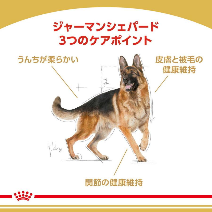 German Shepherdバーキングガイドマグ 面白いかわいいジャーマンシェパードギフト 犬のオーバー コーヒーカップ マグカップ Aliexpress ギフトマグカップ ジャーマンシェパード犬 Vladatk Gov Ba