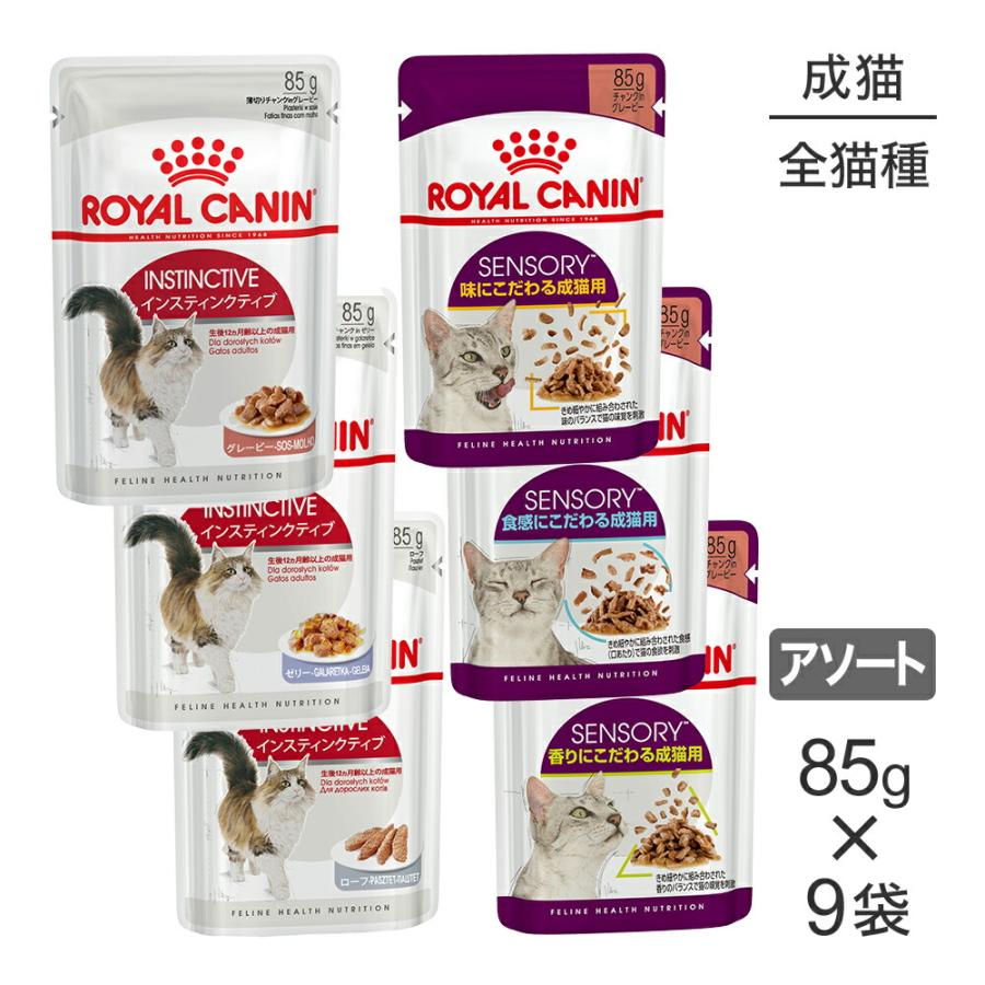 フィーライン ヘルス ニュートリション 【メール便】【85g×9袋