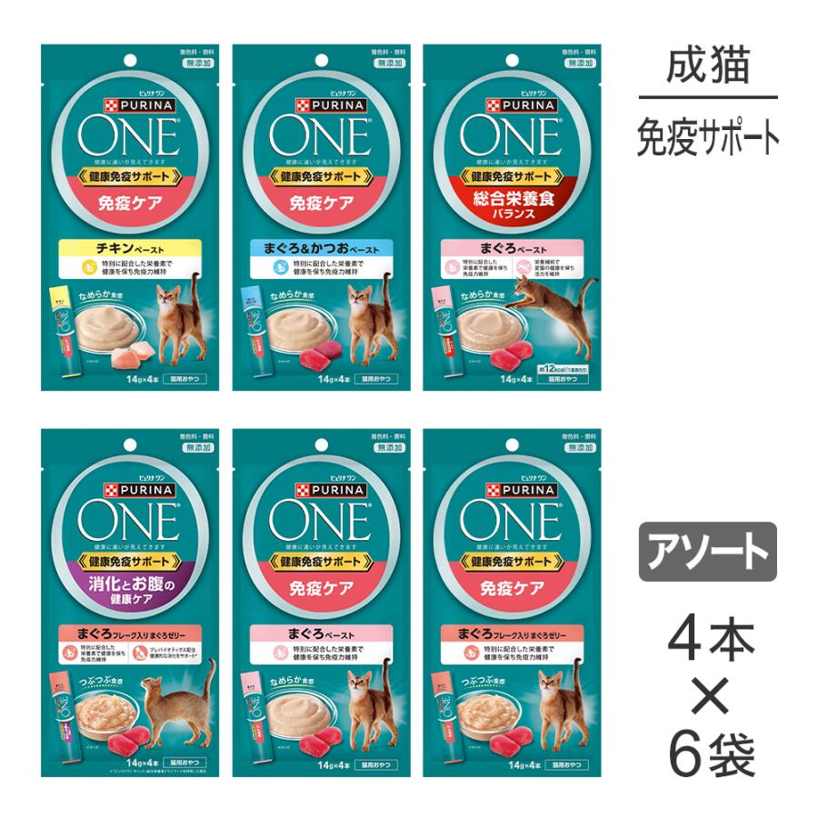 ピュリナワン 【メール便】【14g×4本×6種】ネスレ ピュリナ ワン
