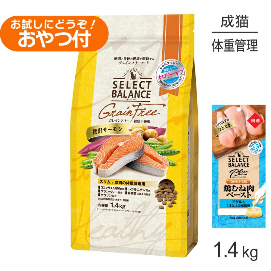 猫用品 セレクトバランス グレインフリー 猫 サーモン キトン 大容量 10kg
