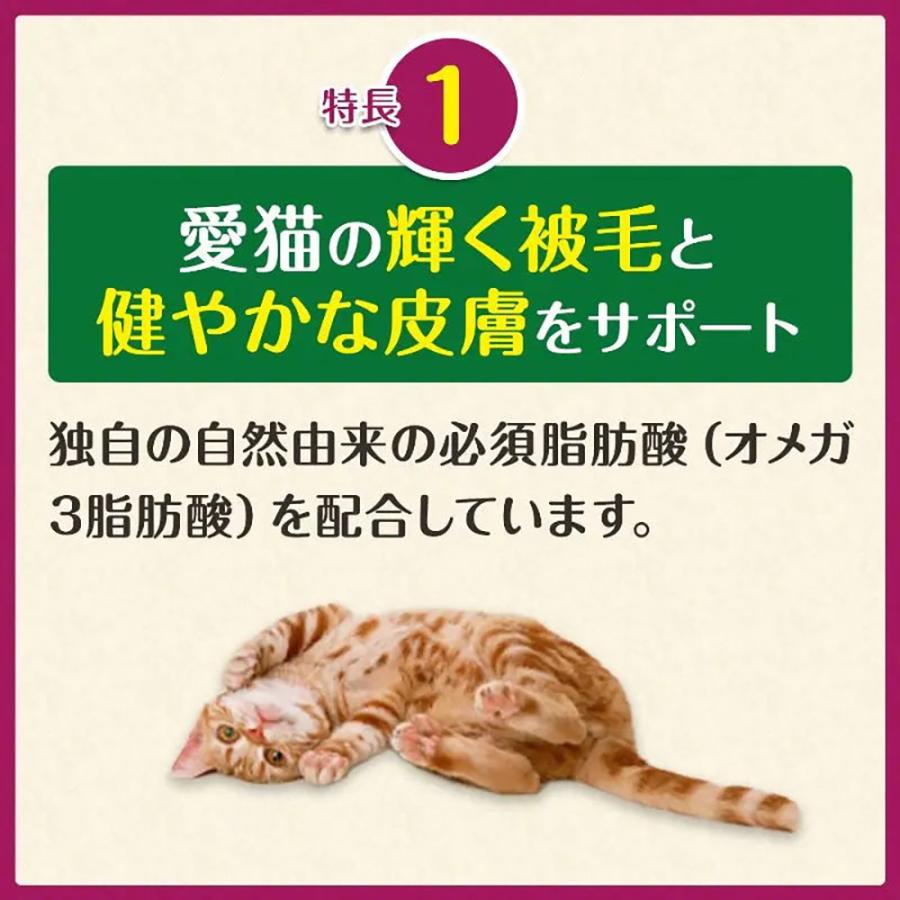 【メール便】【30g×2袋】グリニーズ 猫用 皮膚被毛ケアスナック全2種類お試しセット(猫・キャット)[正規品] | グリニーズ | 02