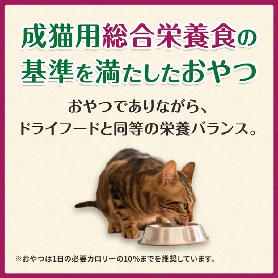 【メール便】【30g×2袋】グリニーズ 猫用 皮膚被毛ケアスナック全2種類お試しセット(猫・キャット)[正規品] | グリニーズ | 04