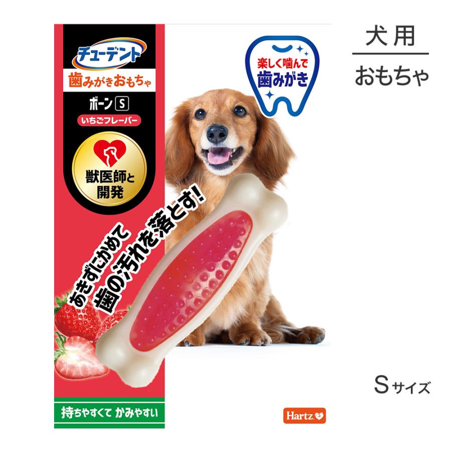 Hartz（ハーツ） 【メール便】ハーツ チューデント 歯みがきおもちゃ