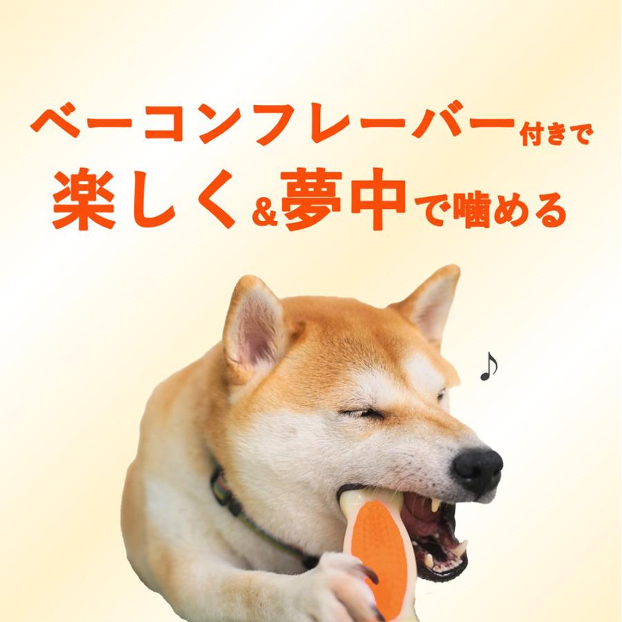 Hartz（ハーツ） 【メール便】ハーツ チューデント 歯みがきおもちゃ