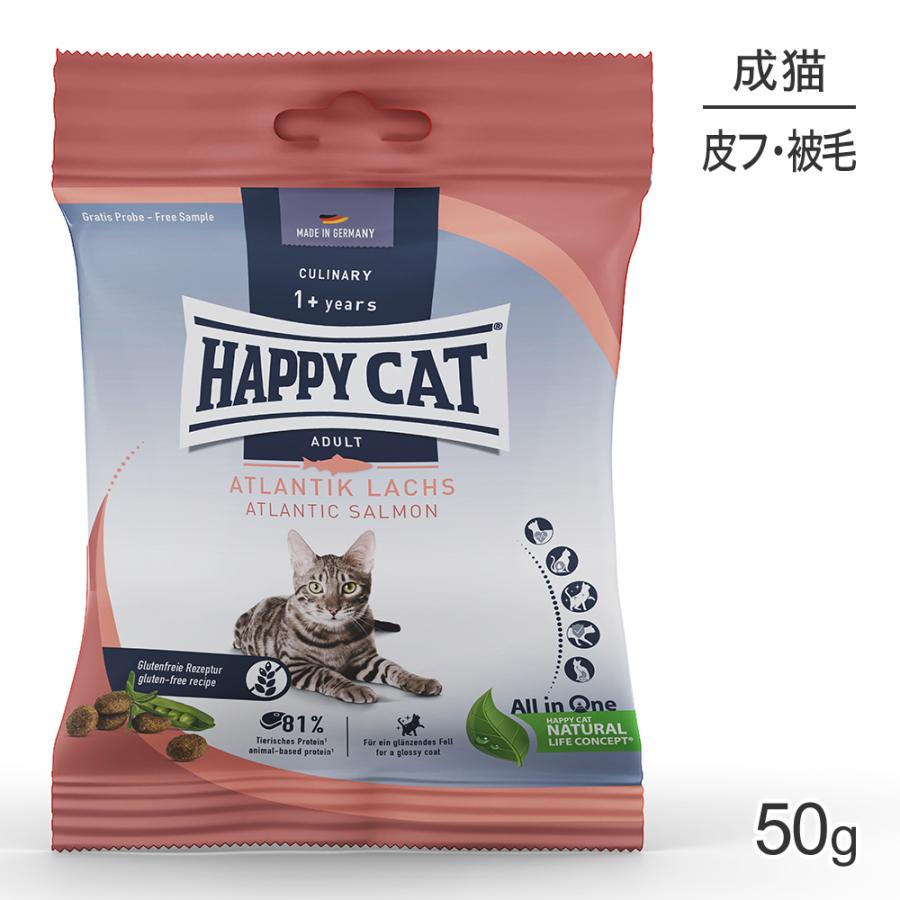 ゴー CAT 皮膚＋被毛ケア サーモン 7.25kg 猫 キャットフード