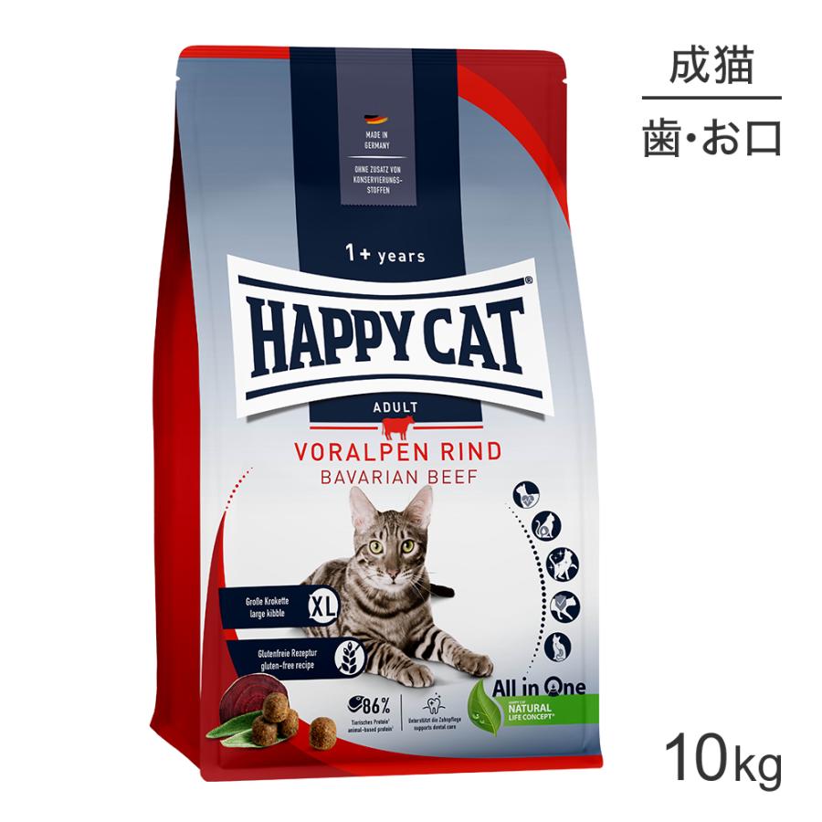 ハッピーキャット HAPPY CAT カリナリー バイエルンビーフ デンタル