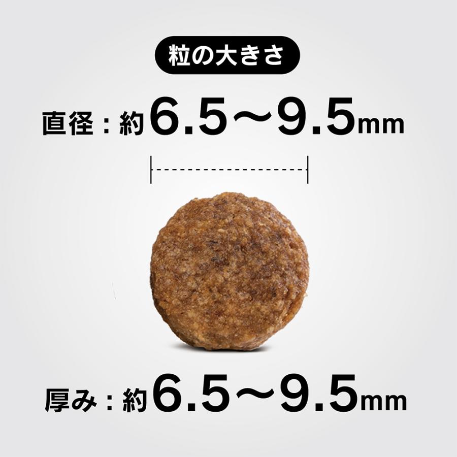 HAPPY DOG ミニ フィット＆バイタル ミニ シニア 小型犬 高齢犬用 4kg(犬・ドッグ)[正規品]｜sweet-pet｜02