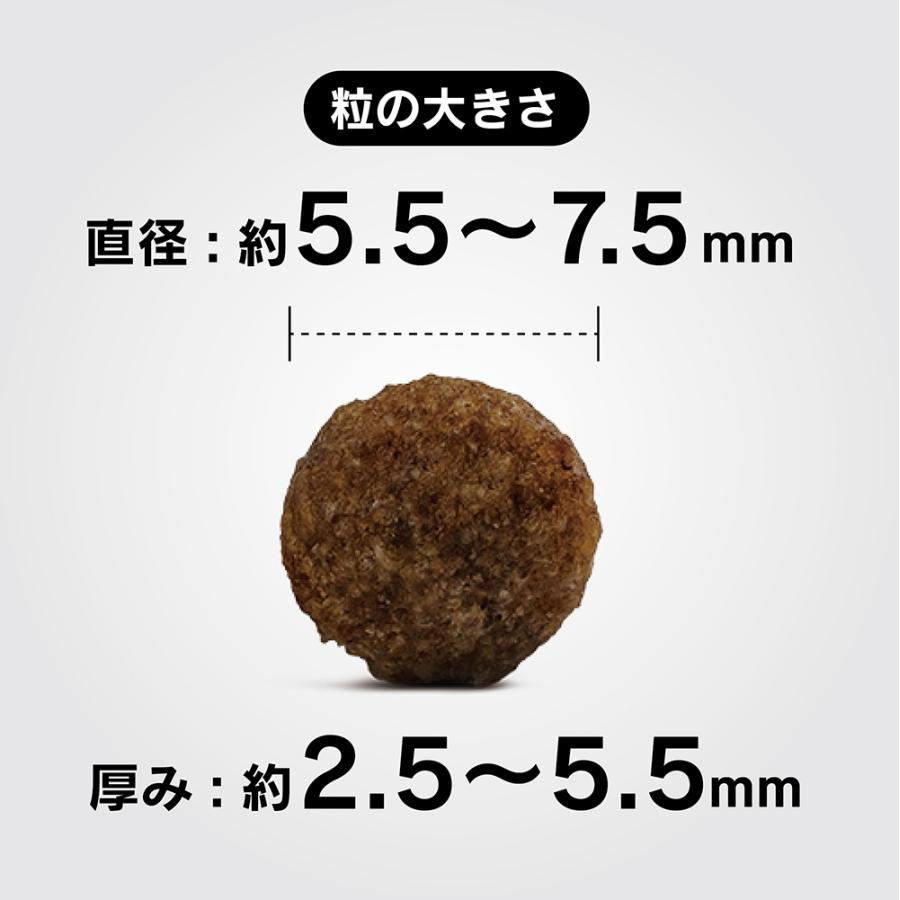 ハッピードッグ HAPPY DOG ミニ センシブル パピー ラム&ライス 小型犬