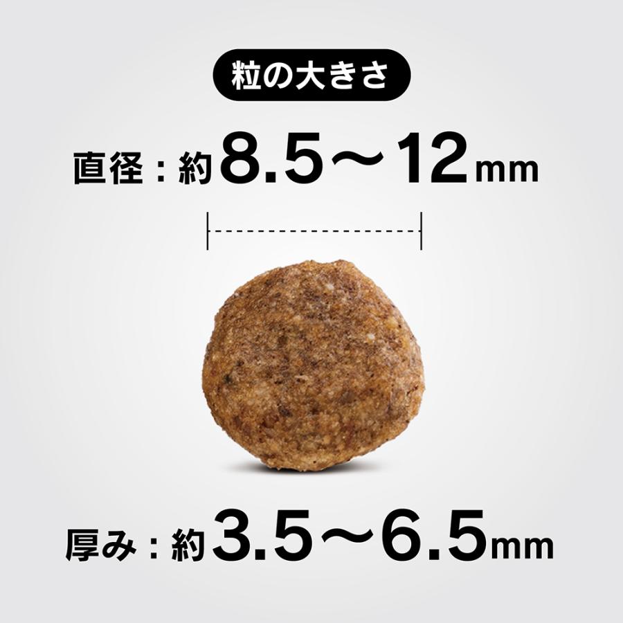 ハッピードッグ HAPPY DOG ミニ センシブル ミニ ニュージーランド