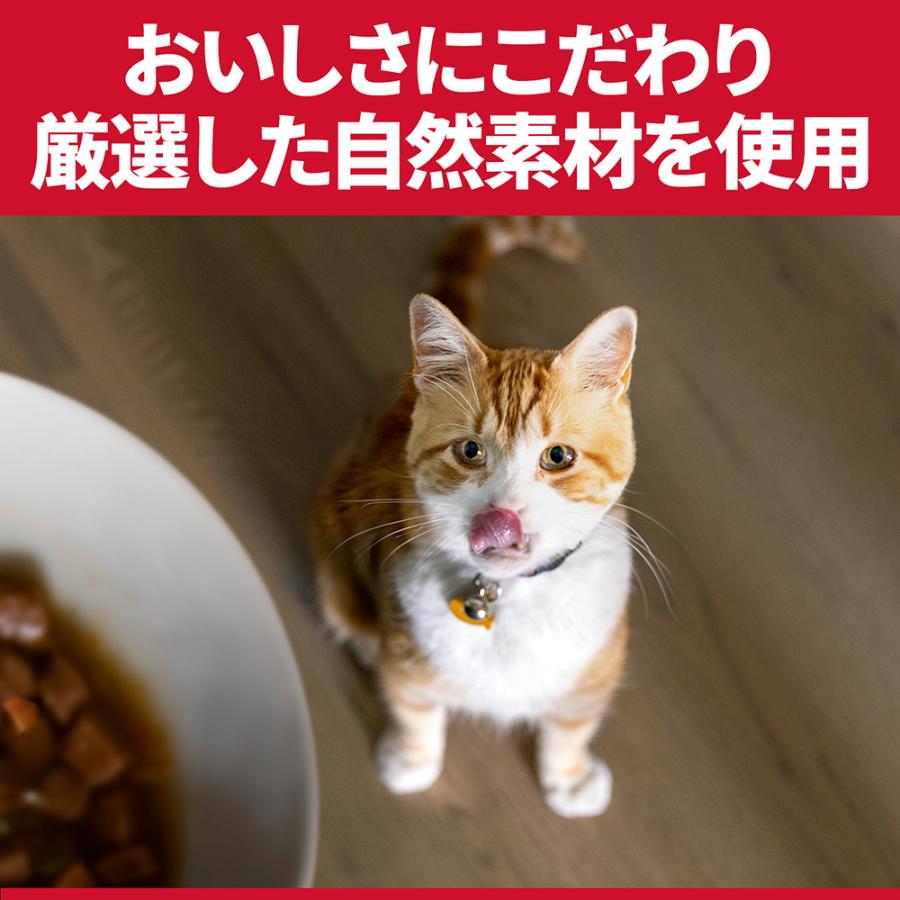 サイエンス・ダイエット ヒルズ インドアキャット アダルト 室内猫の毛