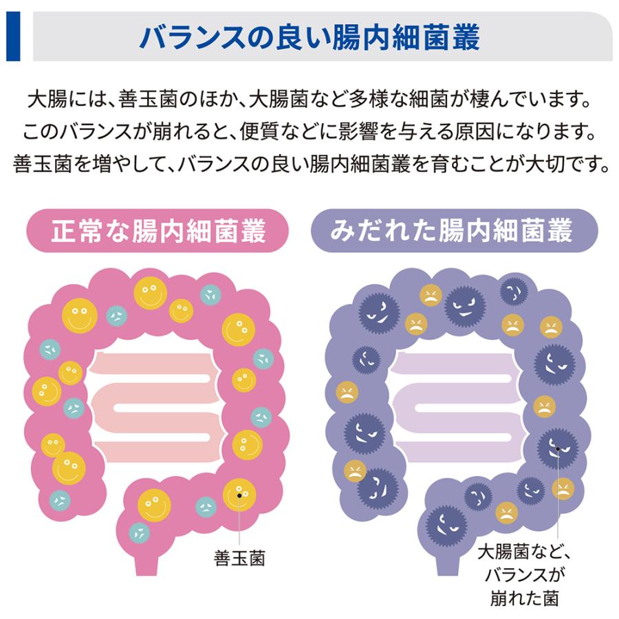 プリスクリプション・ダイエット ヒルズ 腸内バイオーム 繊維＆消化