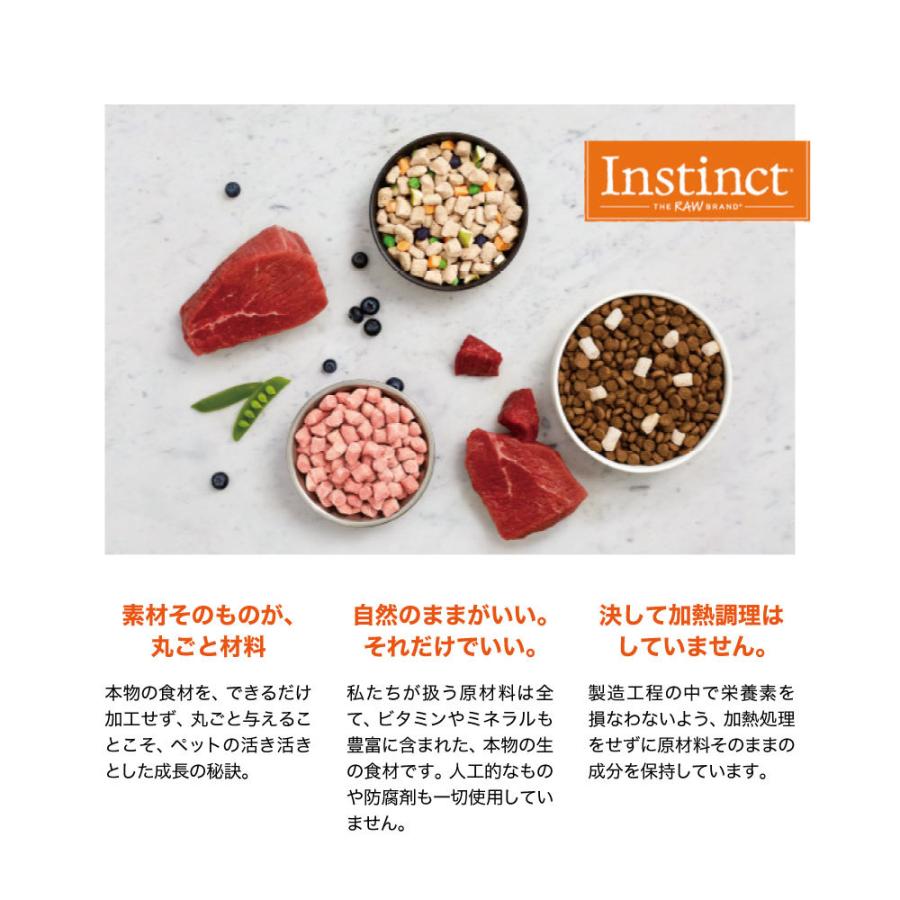 インスティンクト raw Boost Mixers スキン & コート フリーズドライ 156g (犬・ドッグ)[正規品] ins0032r