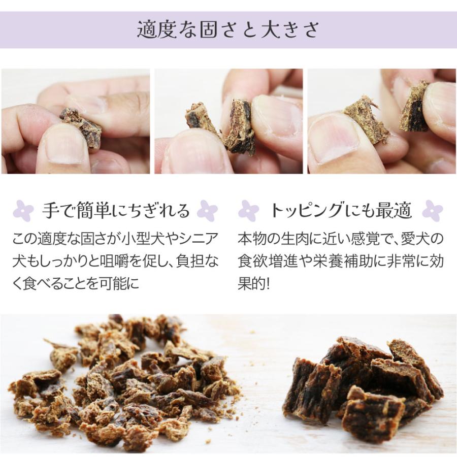 イティ（iti） Dog ビーフ＆イール うなぎ ディナー エアドライ 1kg(犬
