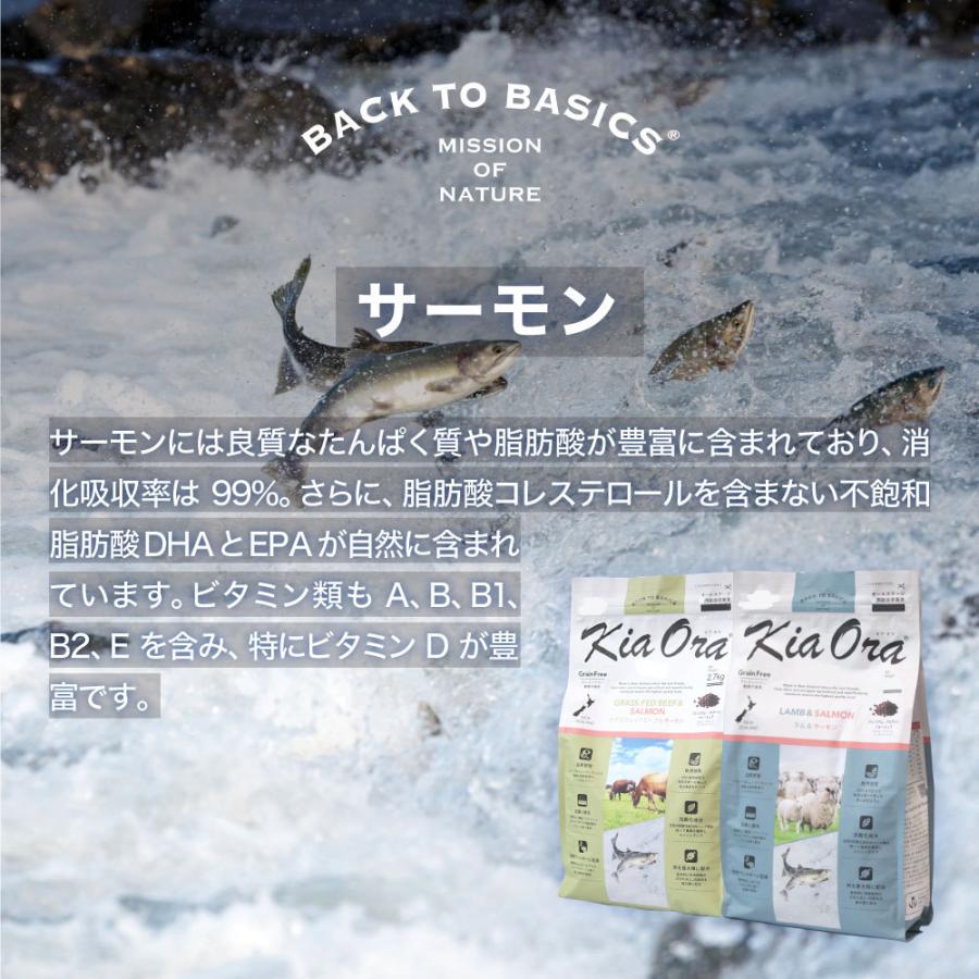 Kia Ora（キアオラ） ドッグフード グラスフェッドビーフ＆サーモン