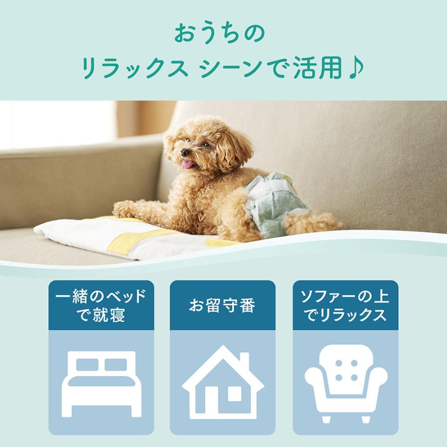 キミおもい リラックスウェア M テープタイプ 34枚 男の子 女の子 共用 おむつ (犬・ドッグ) | エリエール Pet | 03
