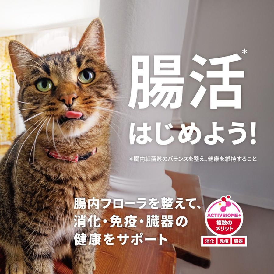 最安値　ヒルズ　サイエンスダイエット　シニア　11歳以上 2.8キロ4袋 サイエンス・ダイエット 【2.8kg×4袋】ヒルズ シニア プラス 11歳以上