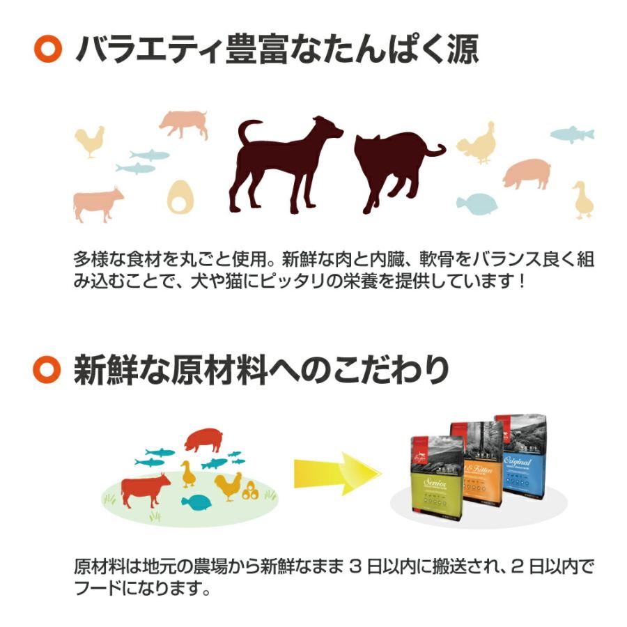 ORIJEN（オリジン） スモールブリードパピー 4.5kg(犬・ドッグ)[正規品