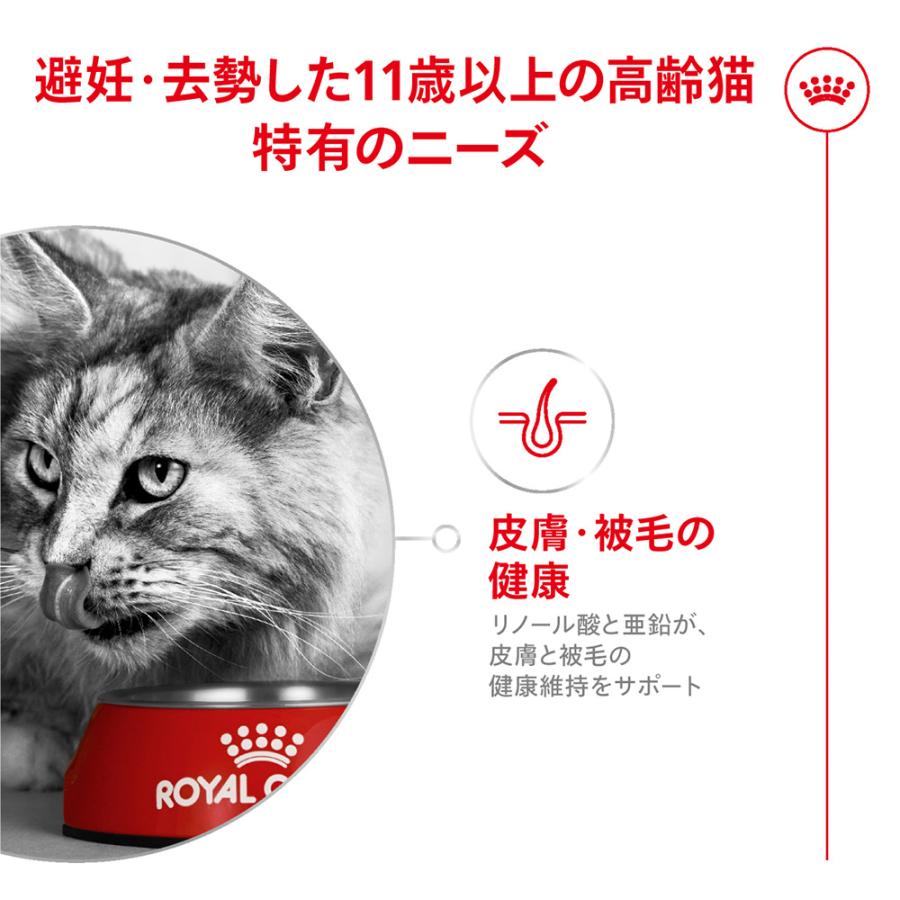 フィーライン ヘルス ニュートリション ロイヤルカナン FHN エイジング