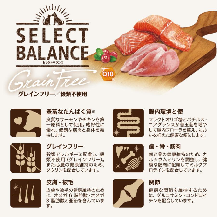 SELECT BALANCE セレクトバランス グレインフリー アダルト 1才以上の