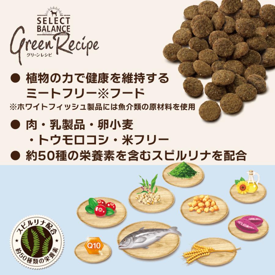 SELECT BALANCE セレクトバランス グリーンレシピ アダルト 1才以上の