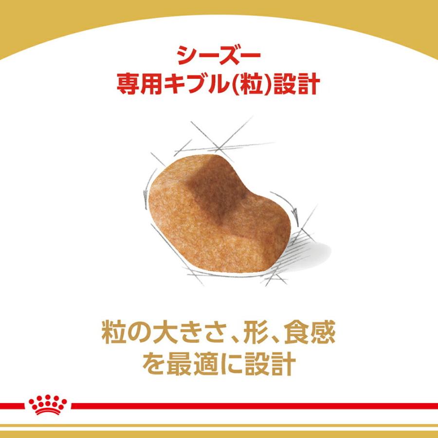 1.5kg×4袋】ロイヤルカナン シーズー 成犬・高齢犬用 (犬・ドッグ