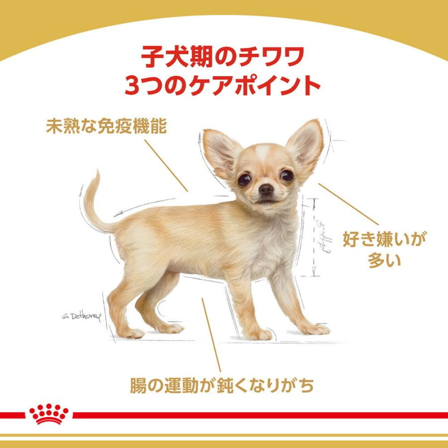 【1.5kg×2袋】ロイヤルカナン チワワ 子犬用 (犬・ドッグ) [正規品]｜sweet-pet｜02