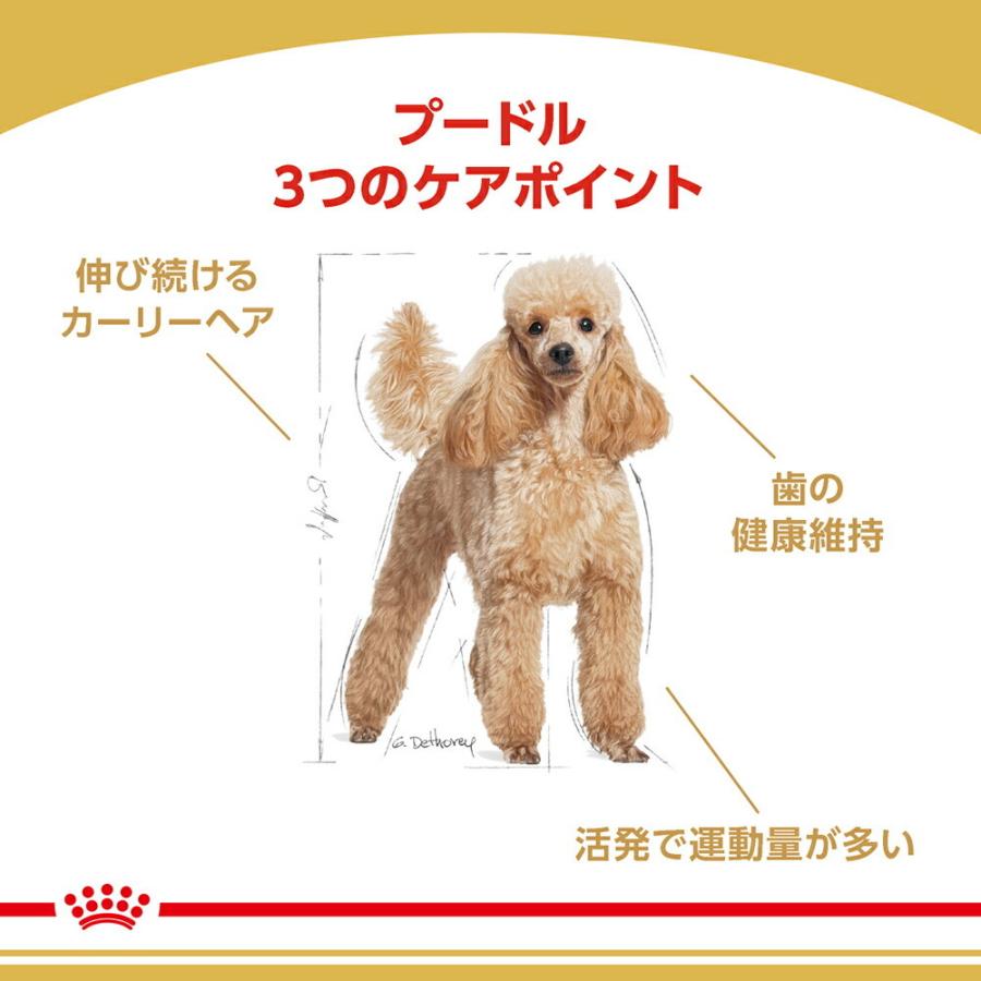 ロイヤルカナン プードル 成犬用 3kg×2袋 (犬・ドッグ) [正規品 