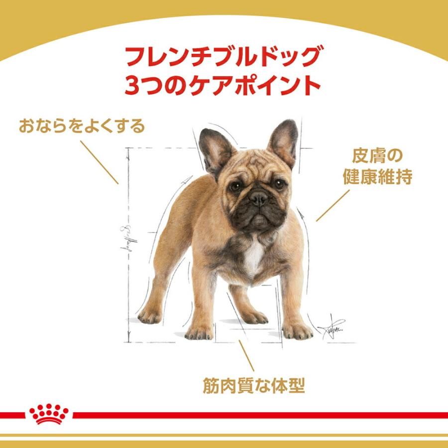 2021年新作 ロイヤルカナン フレンチブルドッグ 成犬 高齢犬用 9kg 犬
