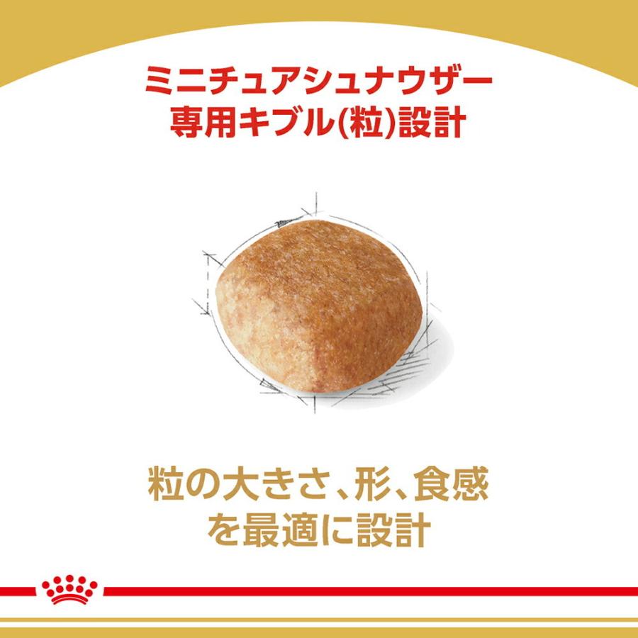 3kg×3袋】ロイヤルカナン ミニチュアシュナウザー 成犬・高齢犬用 (犬