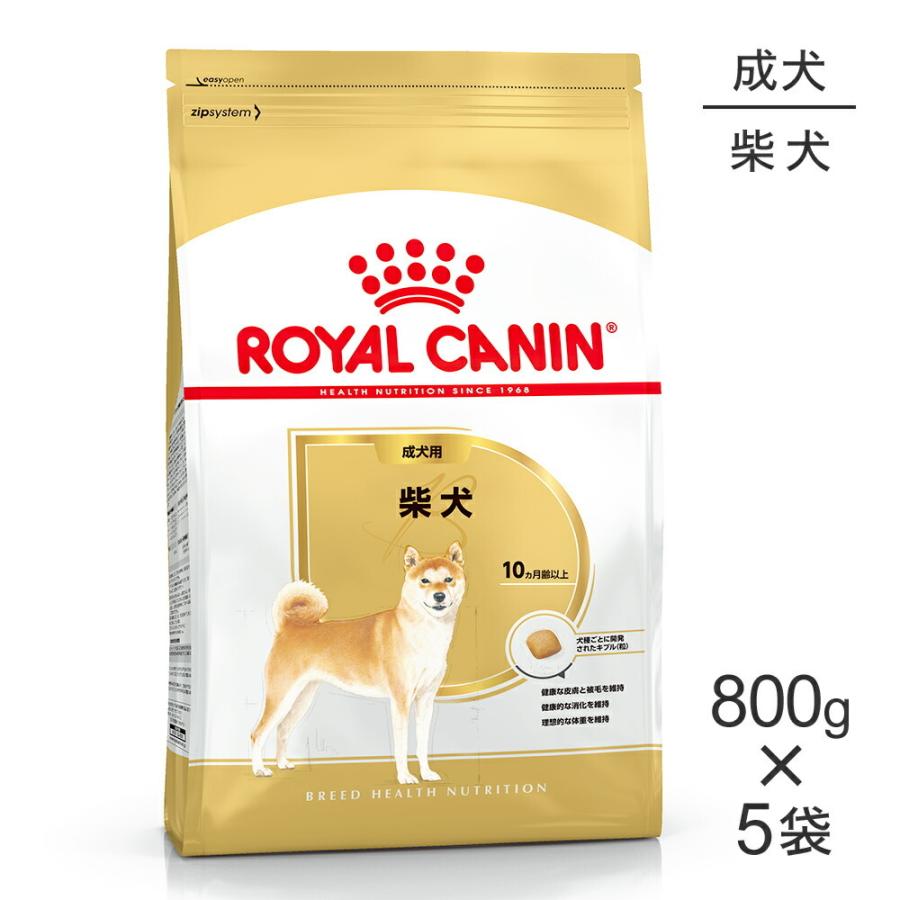 【800g×5袋】ロイヤルカナン BHN 柴犬 成犬用 生後10ヵ月齢以上 (犬・ドッグ)[正規品]