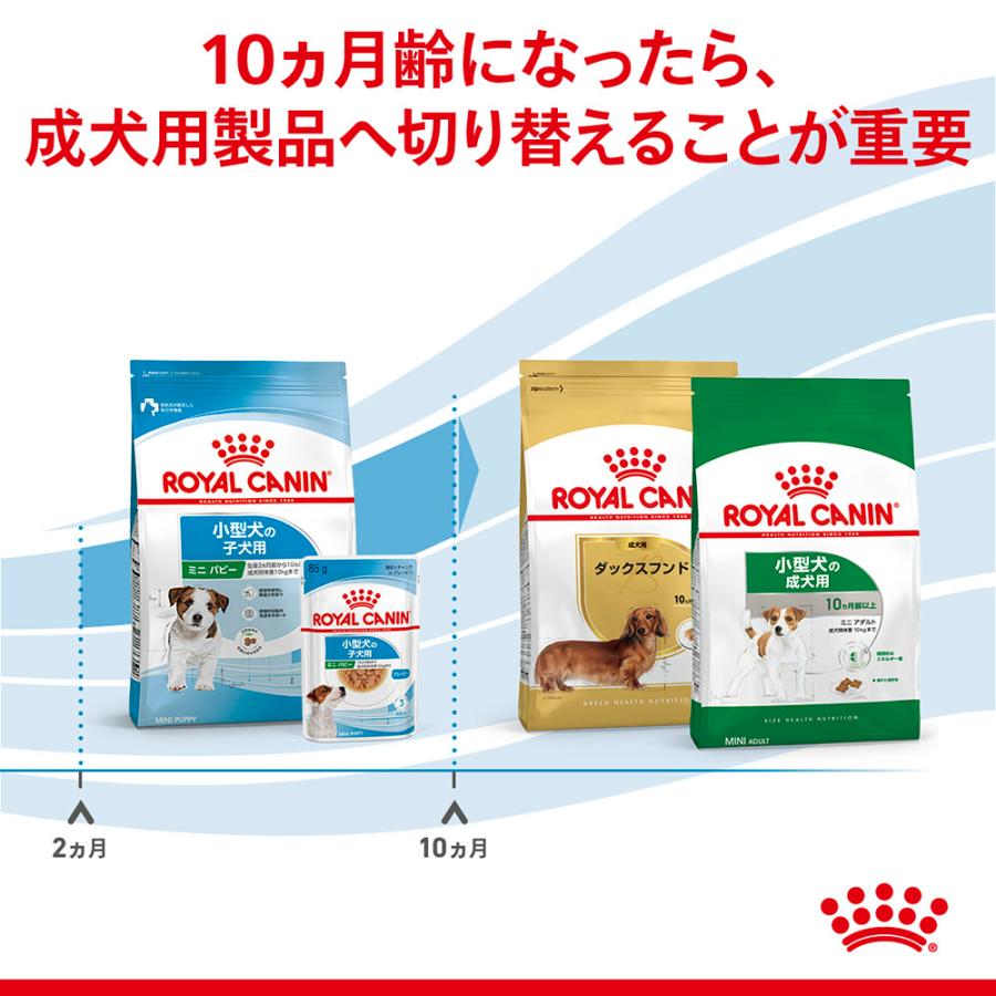 【800g×5袋】ロイヤルカナン ミニパピー (犬・ドッグ) [正規品]｜sweet-pet｜05