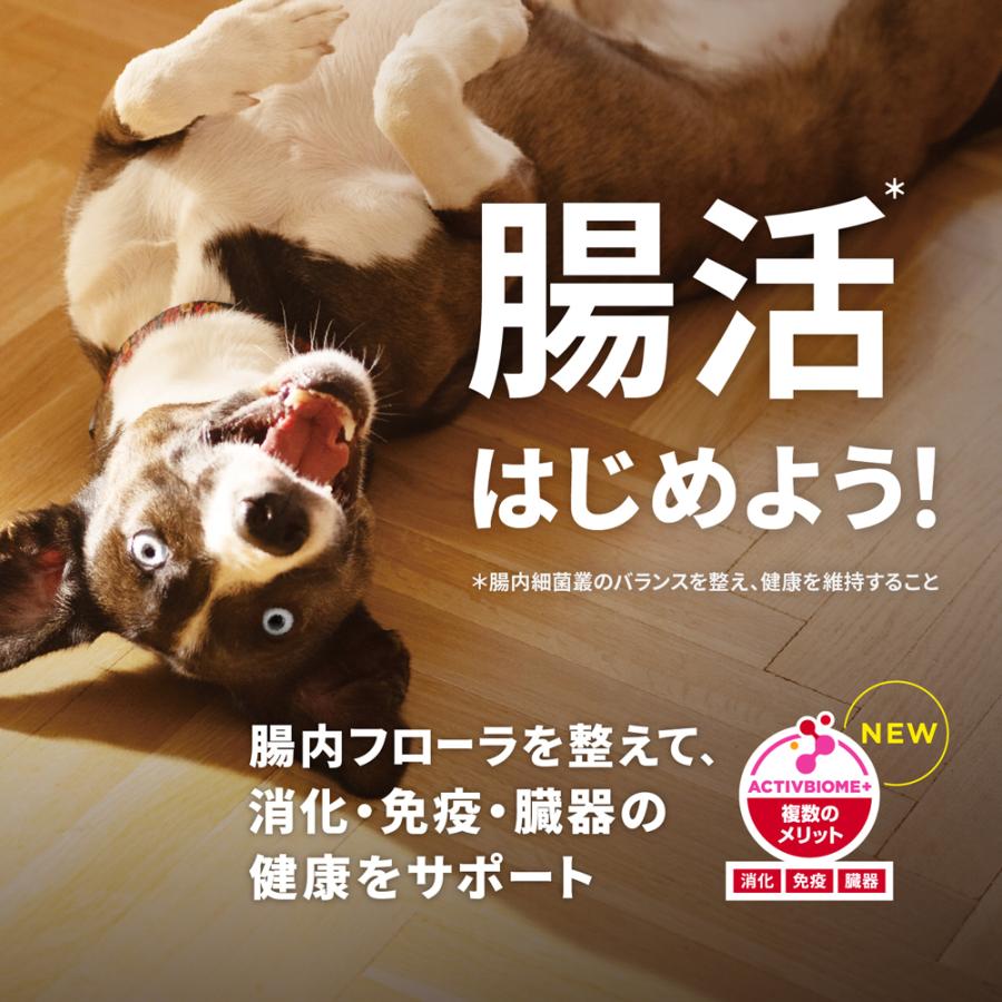 サイエンス・ダイエット 【3.3kg×2袋】ヒルズ シニア ライト 小粒 7歳