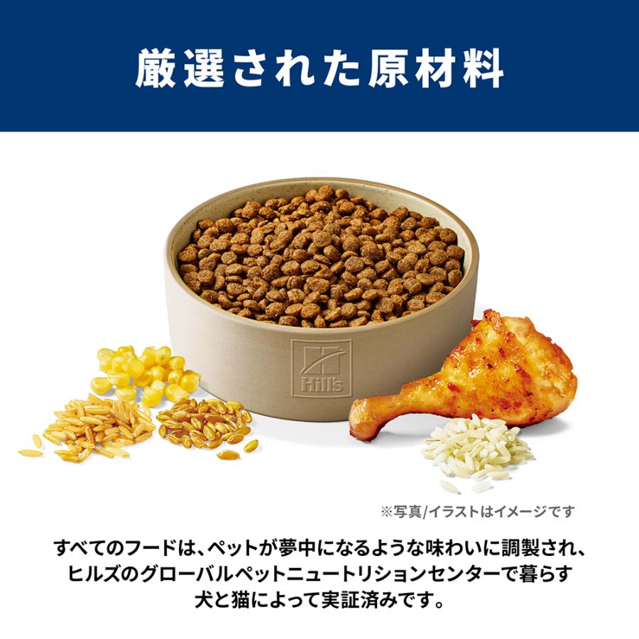 サイエンス・ダイエット 【3.3kg×2袋】ヒルズ シニア プラス 小粒 10歳