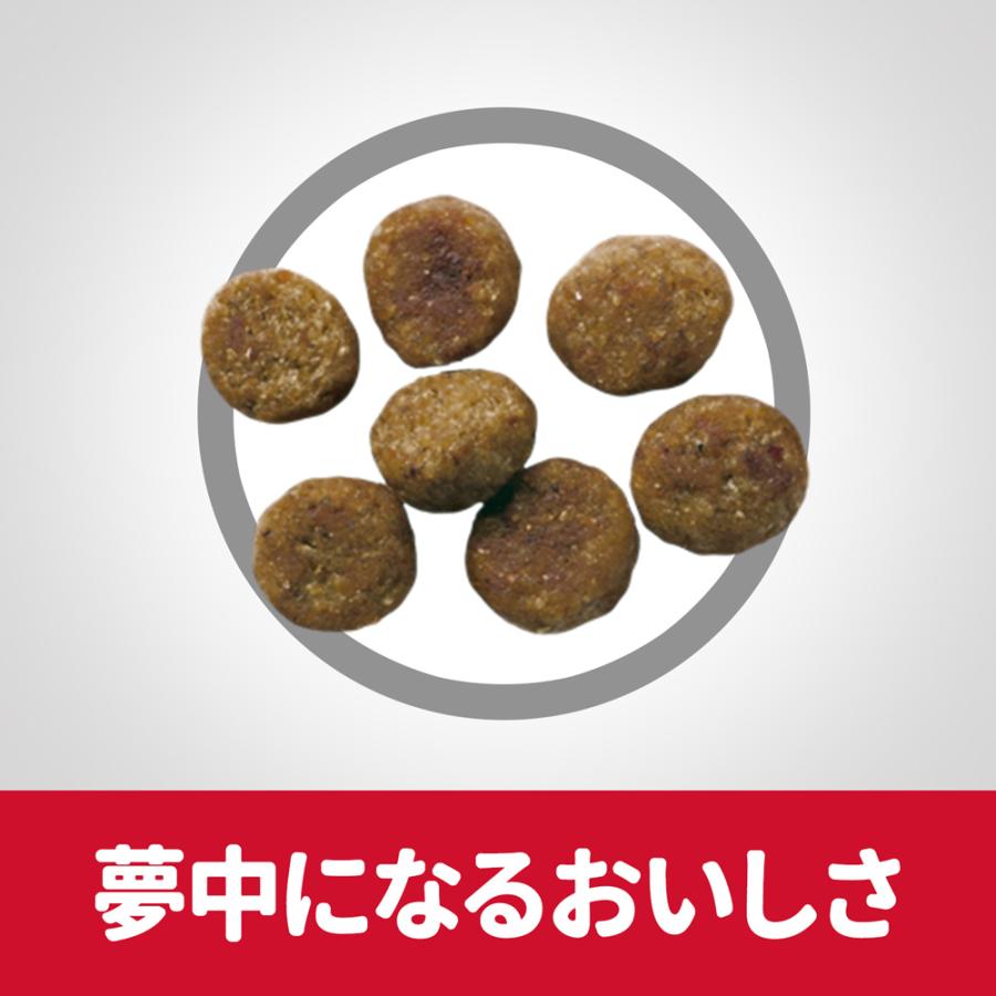 4袋　ヒルズサイエンスダイエット 小型犬用 シニア13歳以上チキン3kg入 ヒルズ サイエンス・ダイエット 小型犬用 シニア 13歳以上 高齢